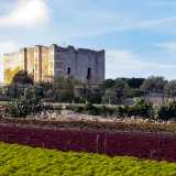 Lasciandoci alle spalle la masseria ci incamminiamo su un viottolo...